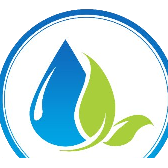 Paavani Solutions logo